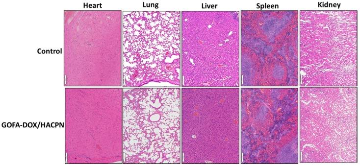 https://cdn.ncbi.nlm.nih.gov/pmc/blobs/8114/5707605/663a6b11b4b1/nanomaterials-07-00388-g011.jpg