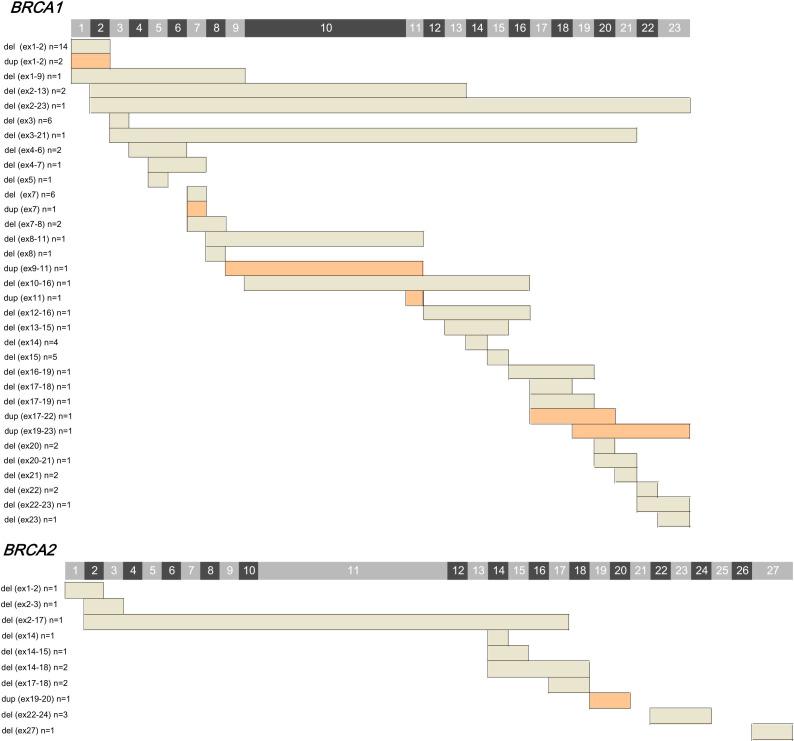 https://cdn.ncbi.nlm.nih.gov/pmc/blobs/8114/9487528/b10f23d74d9d/fonc-12-898916-g001.jpg