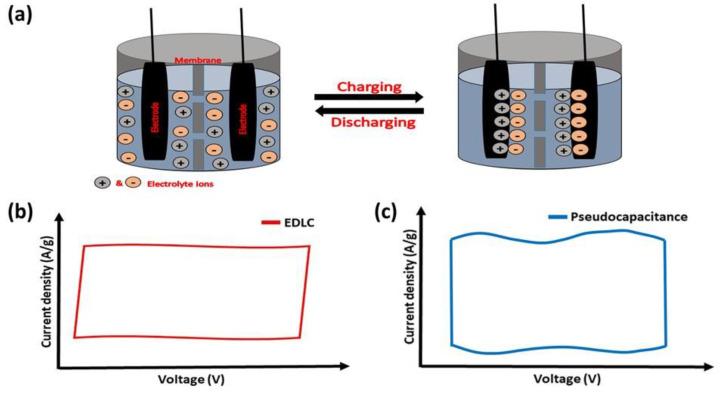 https://cdn.ncbi.nlm.nih.gov/pmc/blobs/8115/10097202/47d2bf52db17/nanomaterials-13-01257-g001.jpg