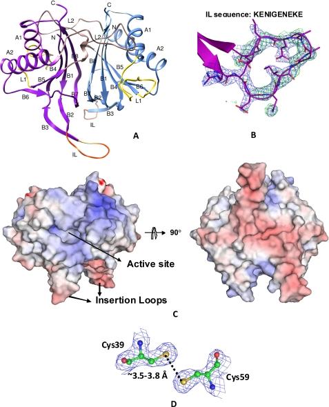 https://cdn.ncbi.nlm.nih.gov/pmc/blobs/8116/2820817/59040686a792/zbc0101005270002.jpg