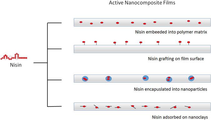 https://cdn.ncbi.nlm.nih.gov/pmc/blobs/8117/10925673/11814fc3e8b4/fchem-12-1356304-g003.jpg