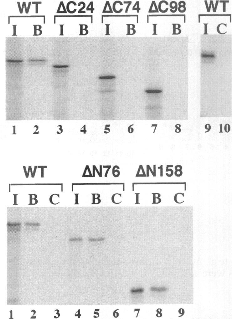 https://cdn.ncbi.nlm.nih.gov/pmc/blobs/8117/276167/66cb38333566/mbc00007-0048-a.jpg