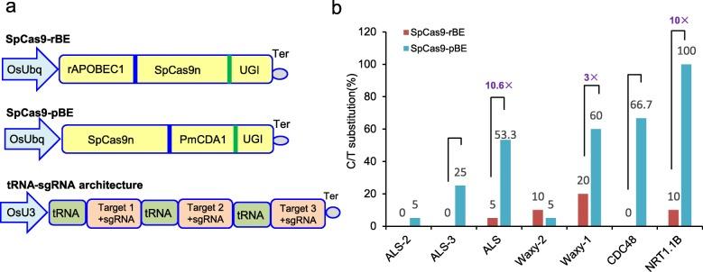 https://cdn.ncbi.nlm.nih.gov/pmc/blobs/8117/6873407/afb6ee2d8491/12870_2019_2131_Fig1_HTML.jpg