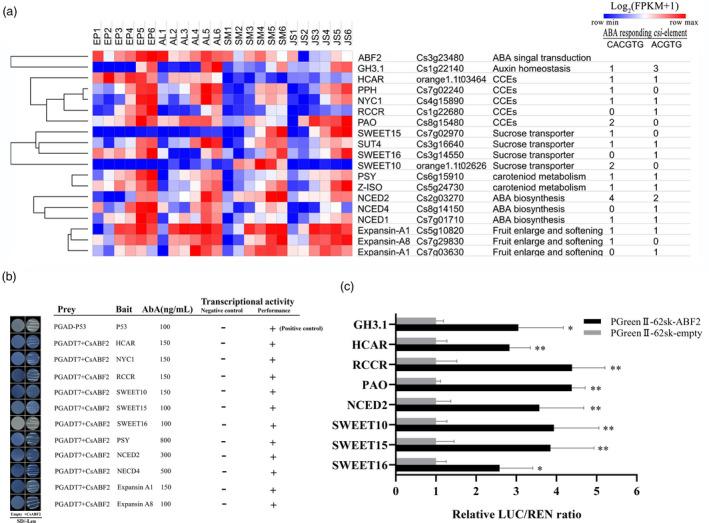 https://cdn.ncbi.nlm.nih.gov/pmc/blobs/8119/11385275/ef6aaff6cca9/PBI-19-1337-g005.jpg