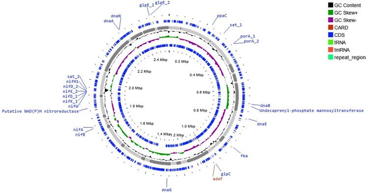 https://cdn.ncbi.nlm.nih.gov/pmc/blobs/811c/11611182/7e5e520bcfeb/pone.0299620.g006.jpg