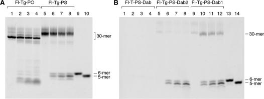 https://cdn.ncbi.nlm.nih.gov/pmc/blobs/811c/2853145/4b514de69523/gkq022f4.jpg