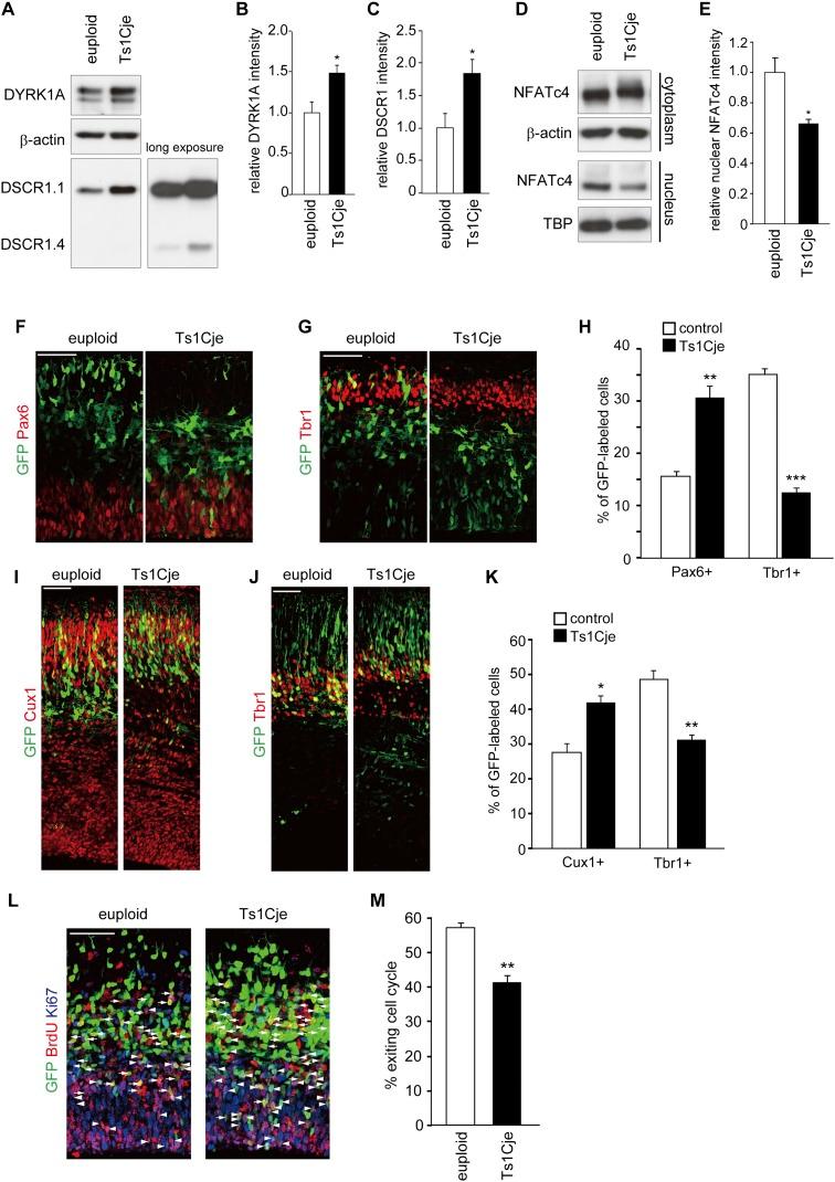 https://cdn.ncbi.nlm.nih.gov/pmc/blobs/811c/3877759/1e8fa79eb1a3/2708fig6.jpg