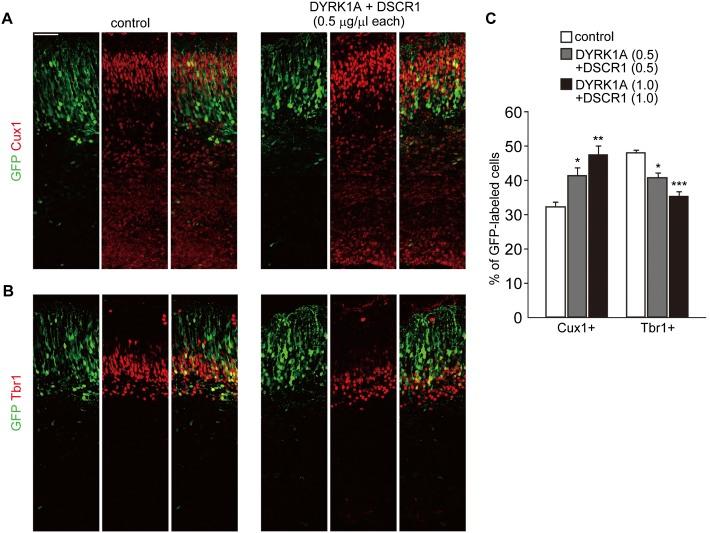 https://cdn.ncbi.nlm.nih.gov/pmc/blobs/811c/3877759/379e4de3a7ad/2708fig2.jpg