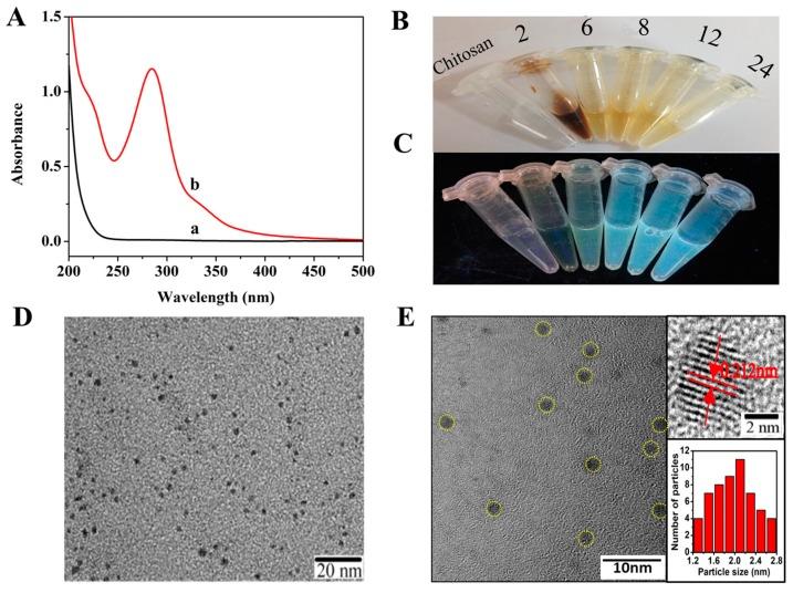 https://cdn.ncbi.nlm.nih.gov/pmc/blobs/811c/6315431/0d97fb87fcd9/nanomaterials-08-01043-g001.jpg