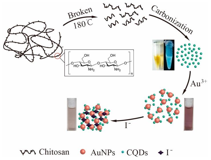 https://cdn.ncbi.nlm.nih.gov/pmc/blobs/811c/6315431/9df1bc85370c/nanomaterials-08-01043-sch001.jpg