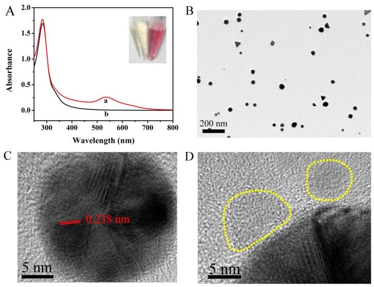 https://cdn.ncbi.nlm.nih.gov/pmc/blobs/811c/6315431/fe073f075260/nanomaterials-08-01043-g002.jpg
