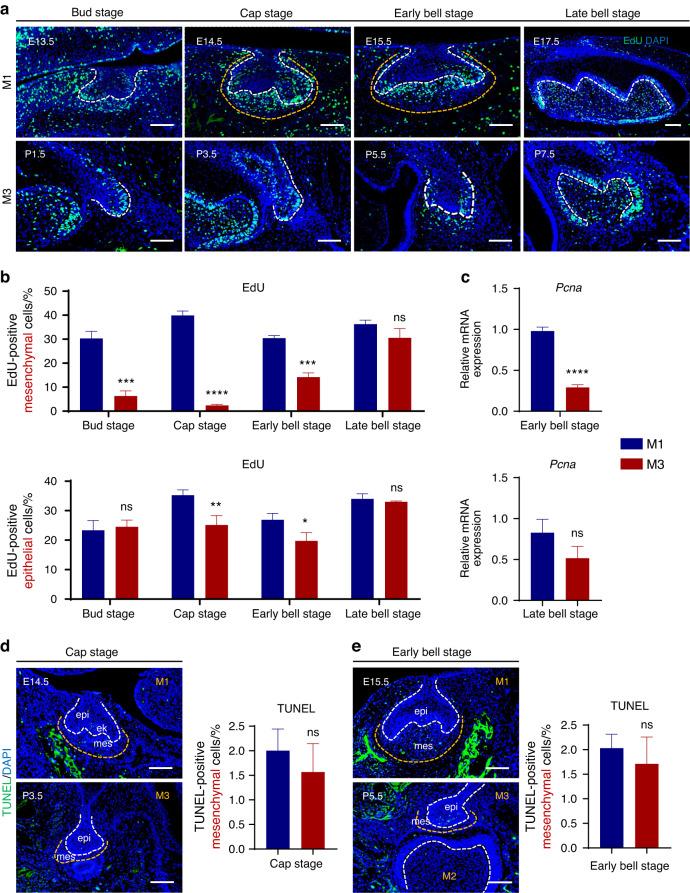 https://cdn.ncbi.nlm.nih.gov/pmc/blobs/811d/10874978/1ebc533064db/41368_2024_277_Fig3_HTML.jpg
