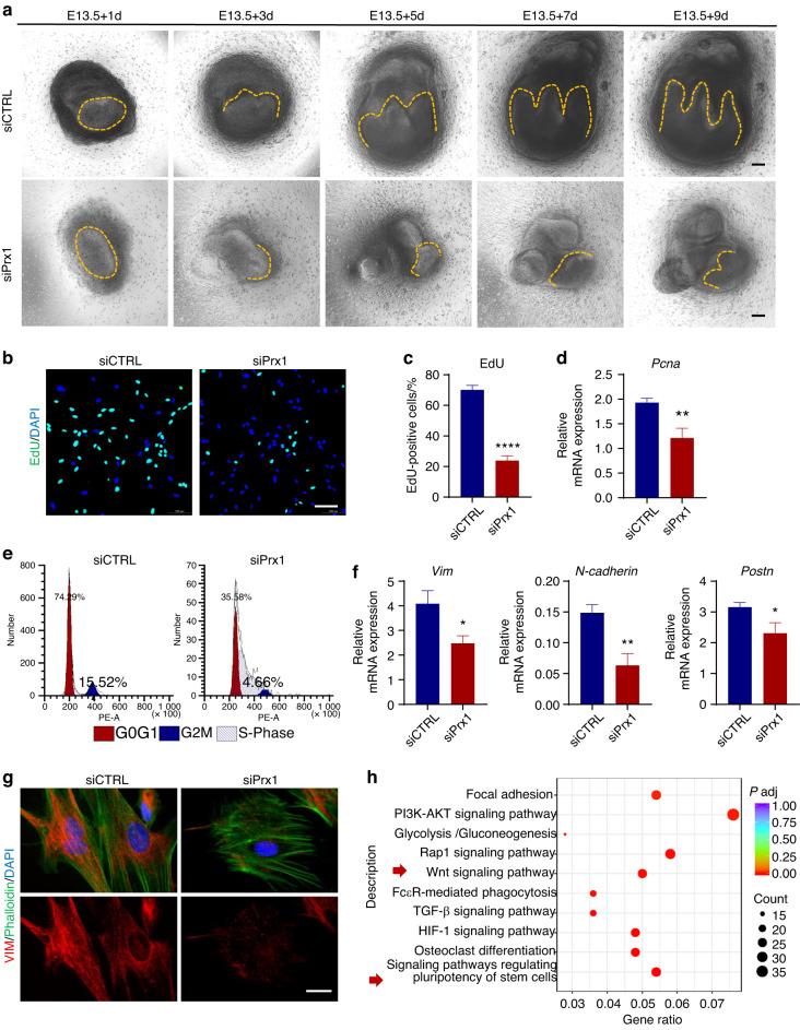 https://cdn.ncbi.nlm.nih.gov/pmc/blobs/811d/10874978/71dc09e91b63/41368_2024_277_Fig4_HTML.jpg