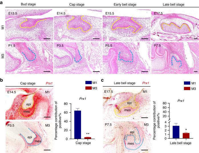 https://cdn.ncbi.nlm.nih.gov/pmc/blobs/811d/10874978/c8efaaf46815/41368_2024_277_Fig2_HTML.jpg