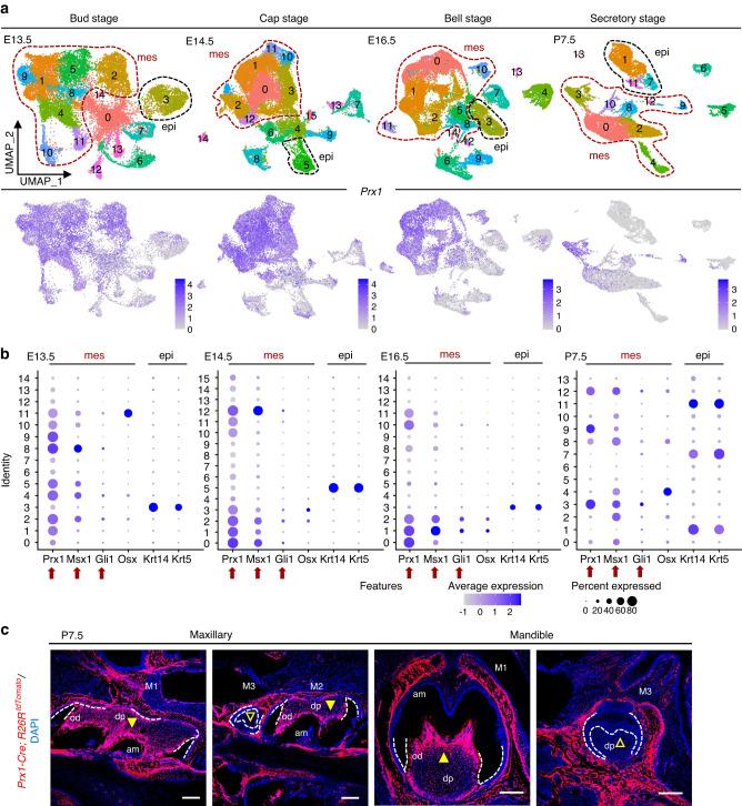 https://cdn.ncbi.nlm.nih.gov/pmc/blobs/811d/10874978/f5b051ab3f2c/41368_2024_277_Fig1_HTML.jpg