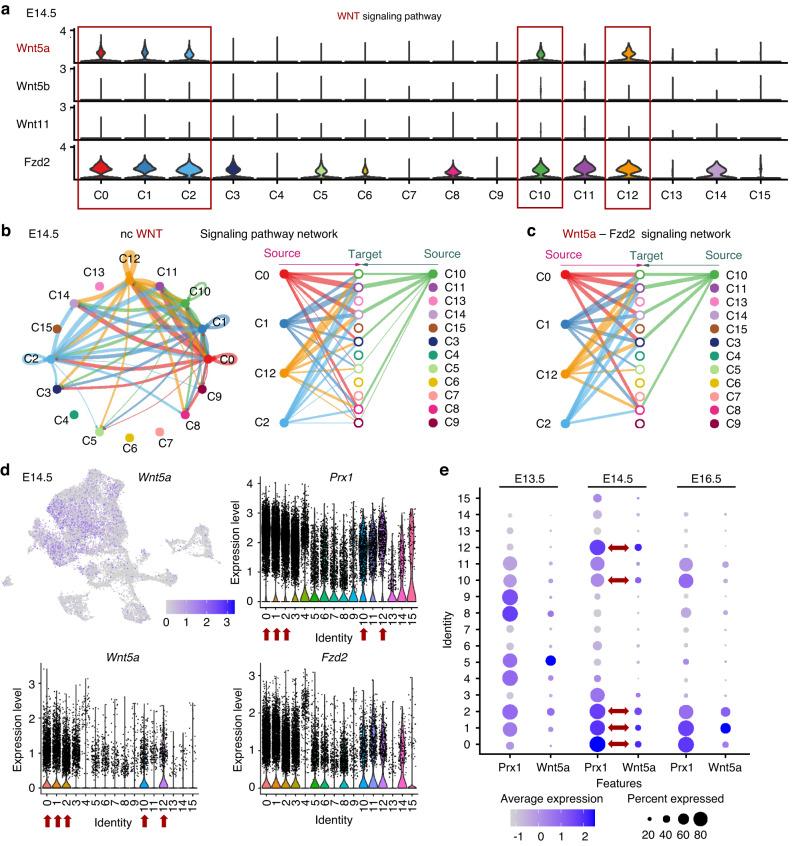 https://cdn.ncbi.nlm.nih.gov/pmc/blobs/811d/10874978/f9d561163a80/41368_2024_277_Fig5_HTML.jpg