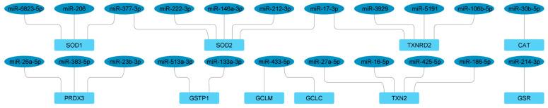 https://cdn.ncbi.nlm.nih.gov/pmc/blobs/811e/11428640/c4fc476961ff/antioxidants-13-01101-g003.jpg