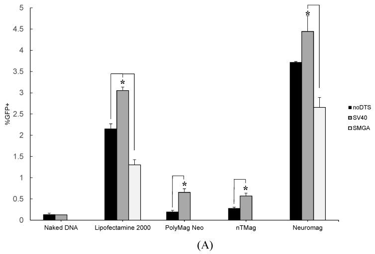 https://cdn.ncbi.nlm.nih.gov/pmc/blobs/811f/4581301/7b6cf1fb1144/ijms-16-19369-g003a.jpg