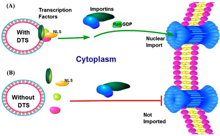 https://cdn.ncbi.nlm.nih.gov/pmc/blobs/811f/4581301/7dc41d52f6c2/ijms-16-19369-g001.jpg