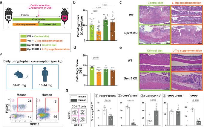 https://cdn.ncbi.nlm.nih.gov/pmc/blobs/8120/10645889/74c64ffc47e6/41467_2023_43211_Fig6_HTML.jpg