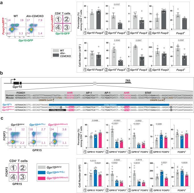https://cdn.ncbi.nlm.nih.gov/pmc/blobs/8120/10645889/ca515bfb5b0f/41467_2023_43211_Fig5_HTML.jpg