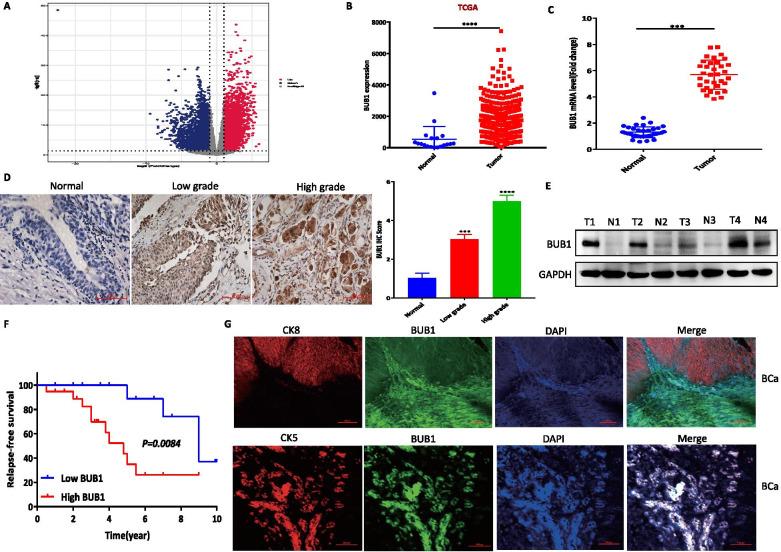 https://cdn.ncbi.nlm.nih.gov/pmc/blobs/8120/8638147/df540a9bb88c/13046_2021_2179_Fig1_HTML.jpg