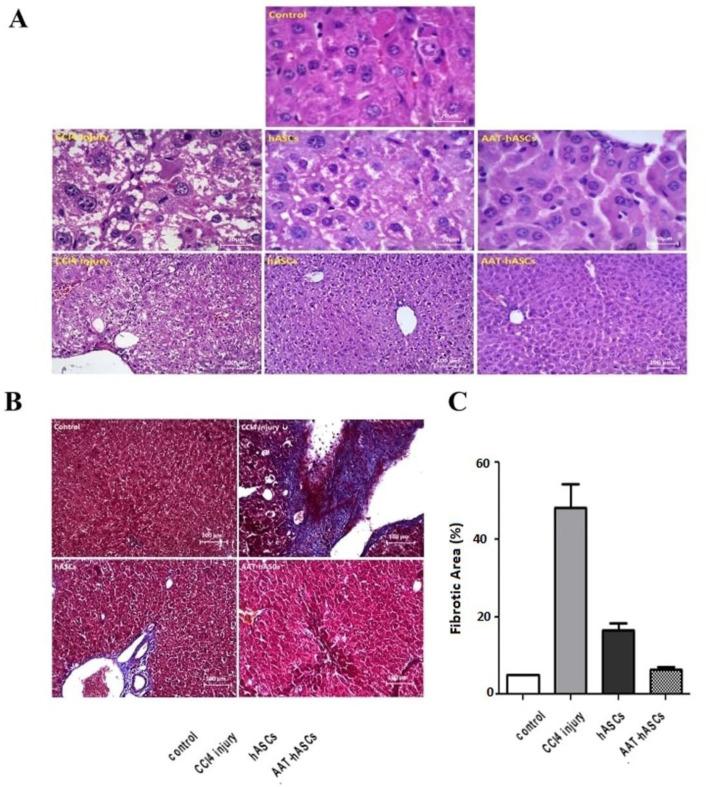https://cdn.ncbi.nlm.nih.gov/pmc/blobs/8121/11234484/b6c33e011549/GHFBB-17-2-151-g003.jpg