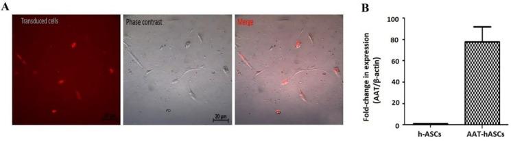 https://cdn.ncbi.nlm.nih.gov/pmc/blobs/8121/11234484/bef282fe11a0/GHFBB-17-2-151-g002.jpg