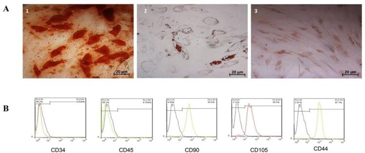 https://cdn.ncbi.nlm.nih.gov/pmc/blobs/8121/11234484/f84decd07fc9/GHFBB-17-2-151-g001.jpg