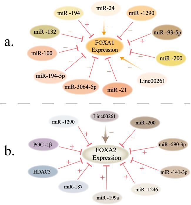 https://cdn.ncbi.nlm.nih.gov/pmc/blobs/8122/11009302/e2a2fcd93695/41420_2024_1936_Fig4_HTML.jpg