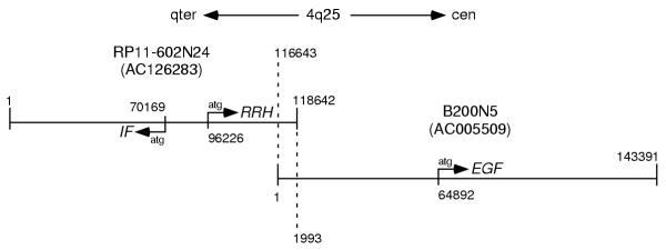https://cdn.ncbi.nlm.nih.gov/pmc/blobs/8122/149353/2a11a10de1d7/1471-2164-4-3-2.jpg