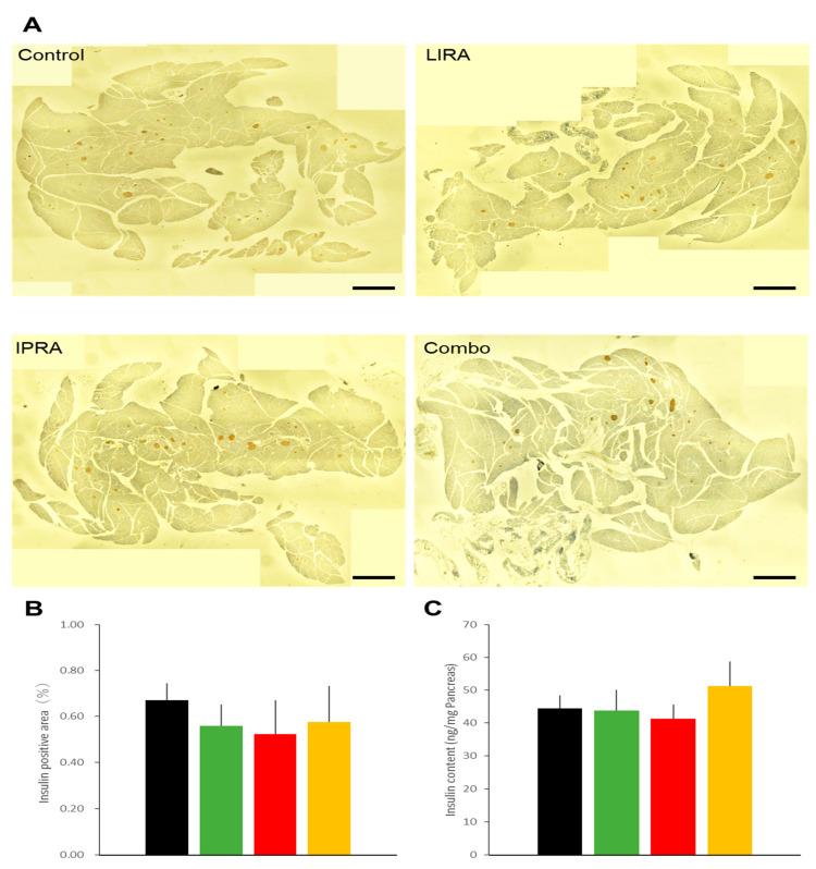 https://cdn.ncbi.nlm.nih.gov/pmc/blobs/8122/8583813/5c79d08915a5/ijms-22-11463-g002.jpg