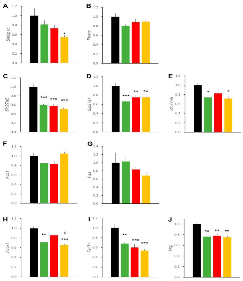 https://cdn.ncbi.nlm.nih.gov/pmc/blobs/8122/8583813/6bc9a2d6c79d/ijms-22-11463-g010.jpg