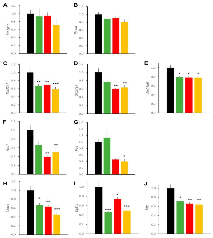 https://cdn.ncbi.nlm.nih.gov/pmc/blobs/8122/8583813/fd32ca2fdd2c/ijms-22-11463-g005.jpg