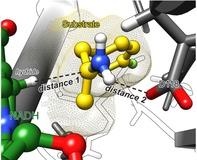 https://cdn.ncbi.nlm.nih.gov/pmc/blobs/8123/6472184/9f94c71bfc9d/CBIC-20-800-g003.jpg