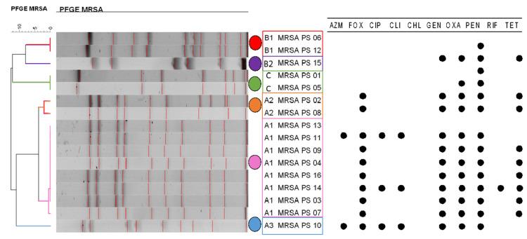 https://cdn.ncbi.nlm.nih.gov/pmc/blobs/8123/9137905/62108b1385b1/antibiotics-11-00621-g001.jpg