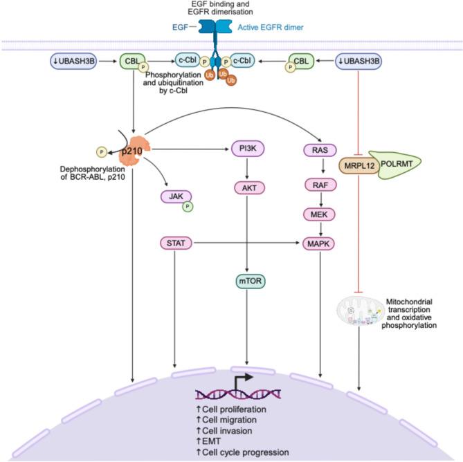 https://cdn.ncbi.nlm.nih.gov/pmc/blobs/8124/12398026/484bff55eaa1/13046_2025_3511_Fig3_HTML.jpg
