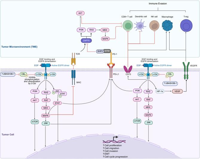 https://cdn.ncbi.nlm.nih.gov/pmc/blobs/8124/12398026/afe6152c8d71/13046_2025_3511_Fig5_HTML.jpg