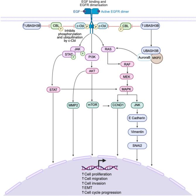 https://cdn.ncbi.nlm.nih.gov/pmc/blobs/8124/12398026/e91475259a6c/13046_2025_3511_Fig4_HTML.jpg