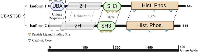 https://cdn.ncbi.nlm.nih.gov/pmc/blobs/8124/12398026/fab953fac772/13046_2025_3511_Fig1_HTML.jpg