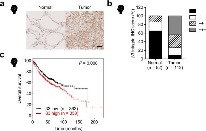 https://cdn.ncbi.nlm.nih.gov/pmc/blobs/8126/8060333/04a38c6cd14d/42003_2021_2003_Fig1_HTML.jpg