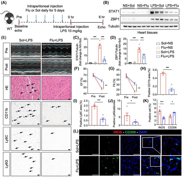 https://cdn.ncbi.nlm.nih.gov/pmc/blobs/8129/12034574/d434fdff4ea0/CTM2-15-e70315-g001.jpg