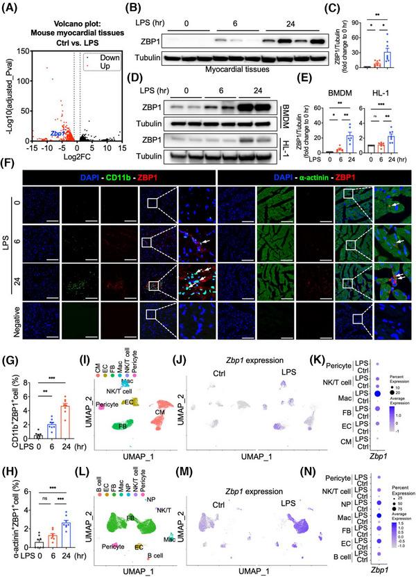 https://cdn.ncbi.nlm.nih.gov/pmc/blobs/8129/12034574/e9d73f9b65a4/CTM2-15-e70315-g003.jpg