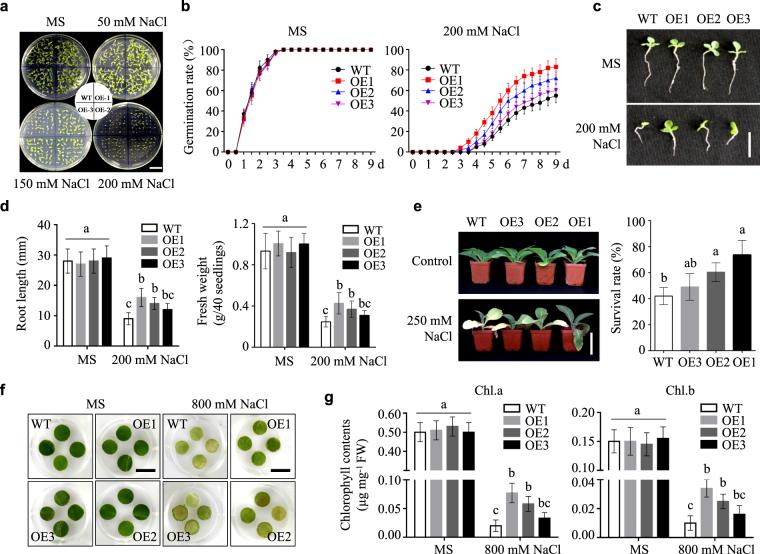 https://cdn.ncbi.nlm.nih.gov/pmc/blobs/8129/5995848/14e2f14224a9/41598_2018_27274_Fig4_HTML.jpg
