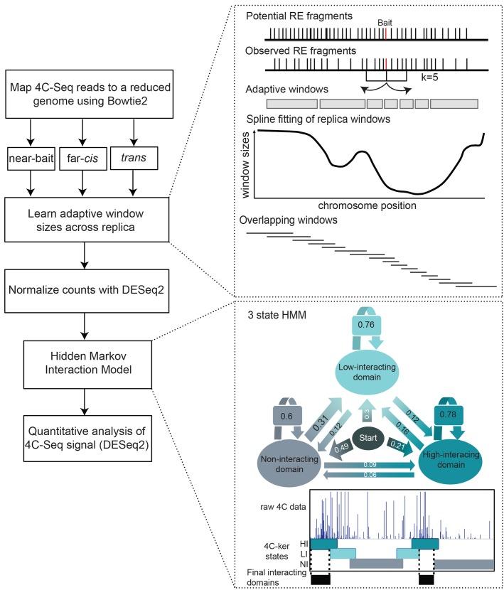 https://cdn.ncbi.nlm.nih.gov/pmc/blobs/812a/4777514/13e2d3378282/pcbi.1004780.g001.jpg