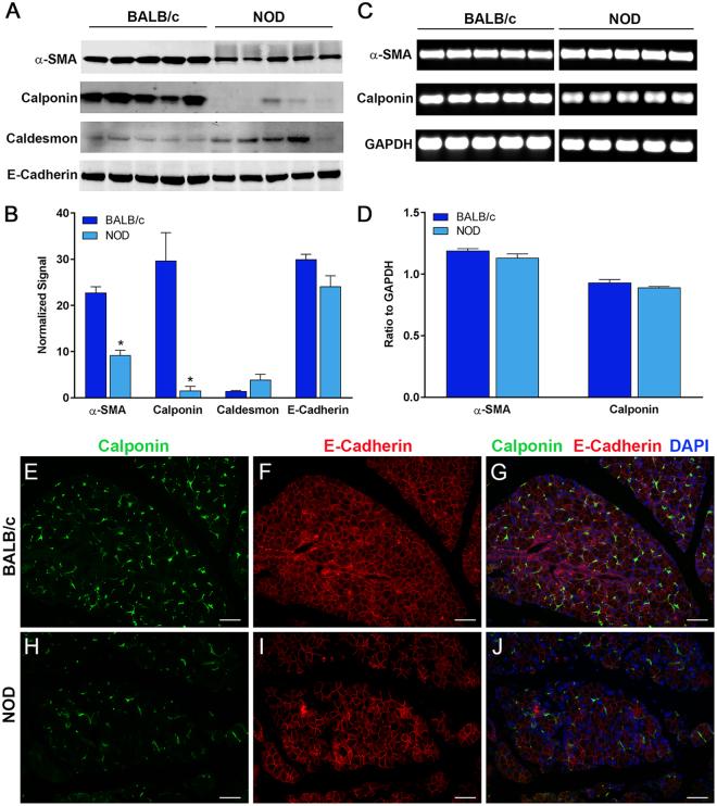 https://cdn.ncbi.nlm.nih.gov/pmc/blobs/812a/6028591/19ebacd545e3/41598_2018_28227_Fig3_HTML.jpg