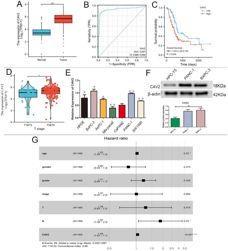 https://cdn.ncbi.nlm.nih.gov/pmc/blobs/812a/9066196/7082a85f6834/jcav13p2200g001.jpg