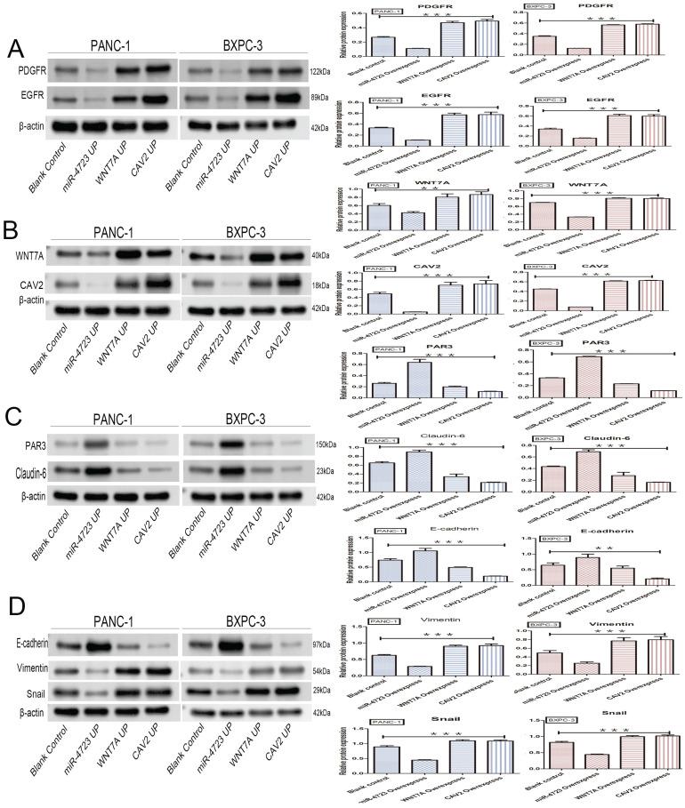 https://cdn.ncbi.nlm.nih.gov/pmc/blobs/812a/9066196/cb54160cb82f/jcav13p2200g006.jpg