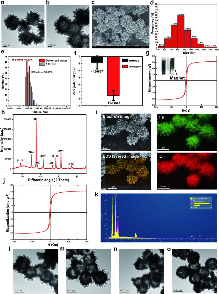 https://cdn.ncbi.nlm.nih.gov/pmc/blobs/812a/9097396/12eeb0ab3545/12951_2022_1411_Fig1_HTML.jpg