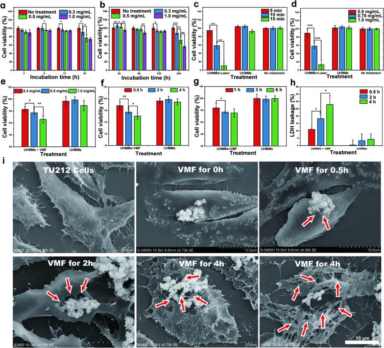https://cdn.ncbi.nlm.nih.gov/pmc/blobs/812a/9097396/17b611ac3a7e/12951_2022_1411_Fig3_HTML.jpg